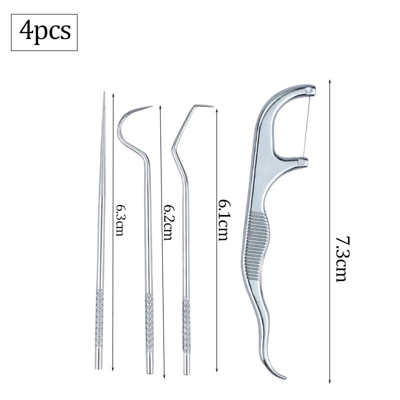 Stainless Steel Toothpick Set Reusable Toothpicks Tooth Flossing Tartar Removal Tool for Tooth Oral Cleaning with Storage Tube