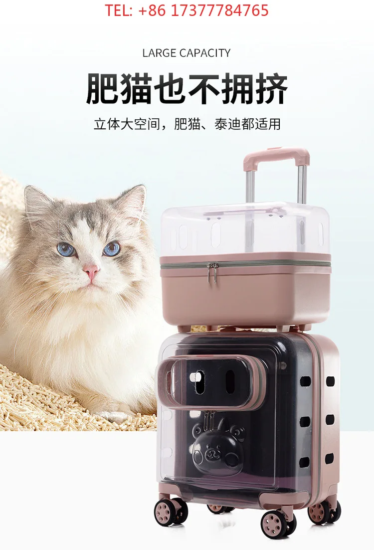 Transparent Swivel Wheels Trolley Pet Travel Suitcase Cat Backpack Cer Bag For Outdoor Trip Cat Small Animal T