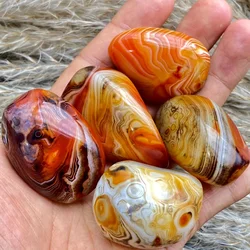 Random Natural Sardonyx Agate Palm Stone Polished Tumbled Stone for Home Decoration Collection