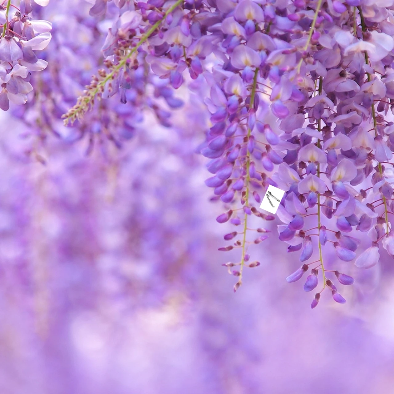 

Алюминиевая задняя скоба шасси GPM 7075, для саней Monster Truck TRAXXAS 1/8 9521