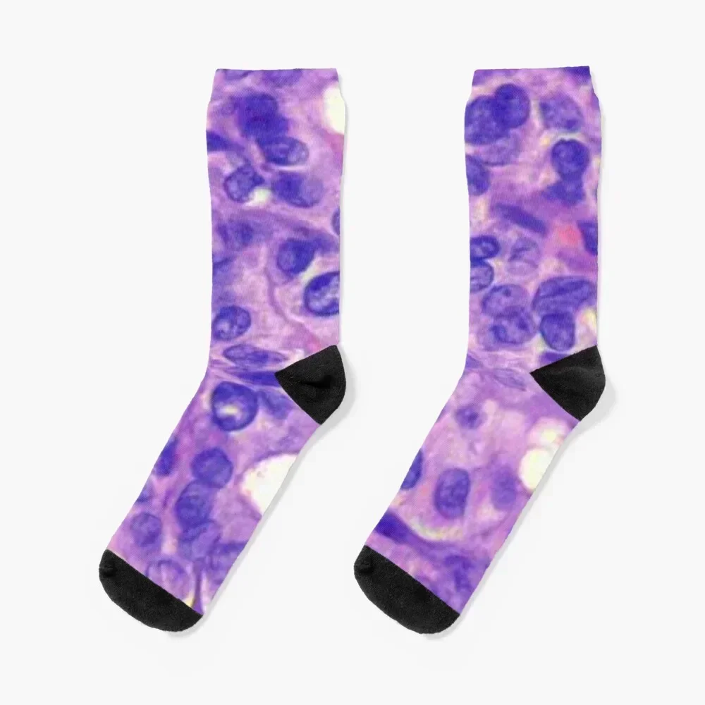 

Papillary carcinoma Socks floral bright garter colored loose Mens Socks Women's