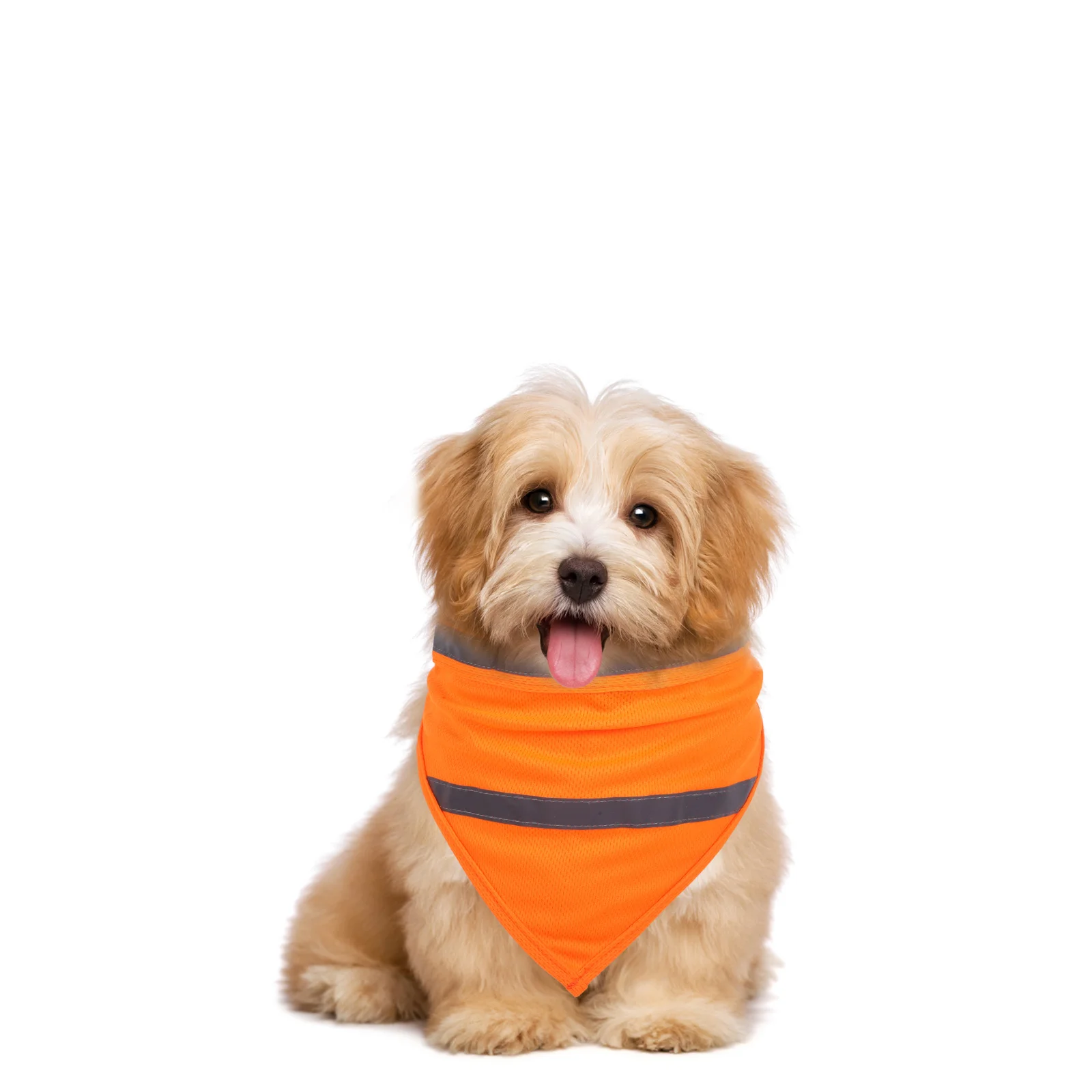 Reversible Pet Reflective Scarf Tag Safety Bandanas Unique Orange Cloth Puppy Bridegroom