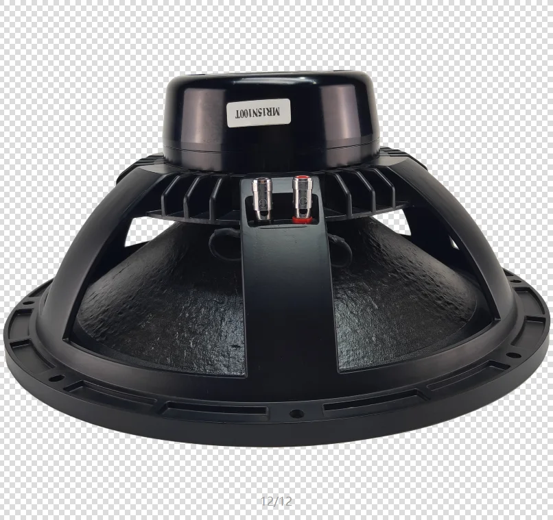

Hot Selling China Wholesale Stable Quality Top Audio Quality Neodymium Indoor And Outdoor Audio 15 Inch Speaker