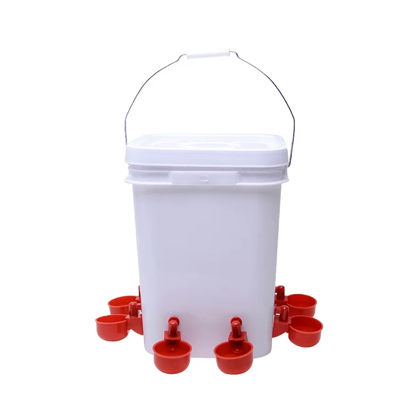 

Poultry new material plastic 20L automatic chicken drinker farming equipment