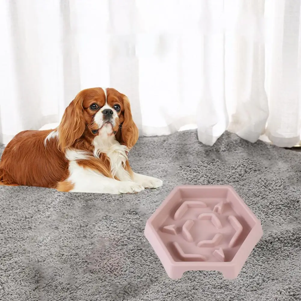 Pet Slow Feeder Bowl Durable Pet Slow Food Bowl for Dogs Cats Hexagonal Round Shape Feeder Bowl with Smooth Surface for Healthy