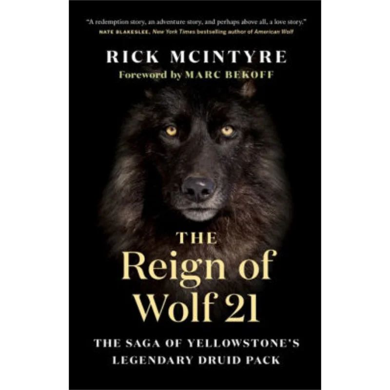 The Reign Of Wolf 21 The Saga Of Yellowstones Legendary Druid Pack Rick McIntyre Grove Press 9781771645249 Book