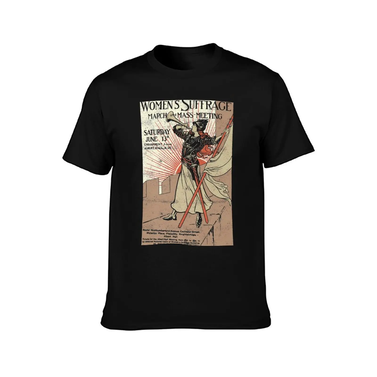 19th Amendment Women's Right Vote 100 Years Suffrage Vintage T Shirt Gift For Men And Women, Gift Halloween, Thanksgivin T-Shirt