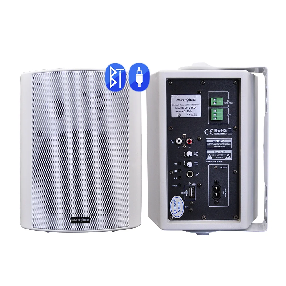 

High Quality Stereo Sound Surround Active Wall Speaker System