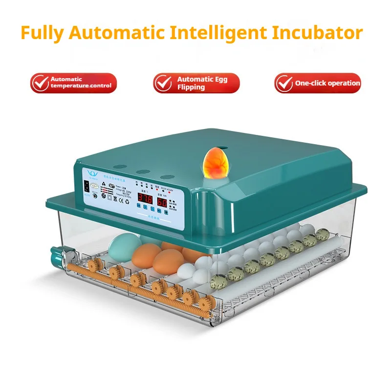 حاضنة بيض ذكية أوتوماتيكية بسعة 16/36 تستخدم آلة حضانة صغيرة للمنزل دجاج بطة أوزة حمامة تحول الاختيار