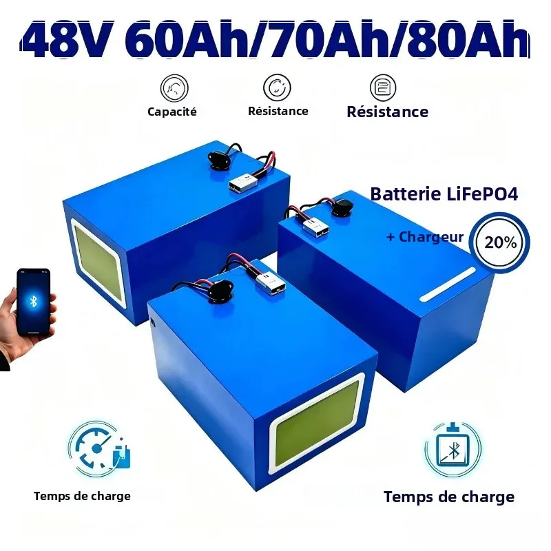 Batterie Li-ion haute densité énergétique 48 V 60 Ah-80 Ah, conception à décharge à courant élevé et stable, source d'alimentation rechargeable pour 3500 W