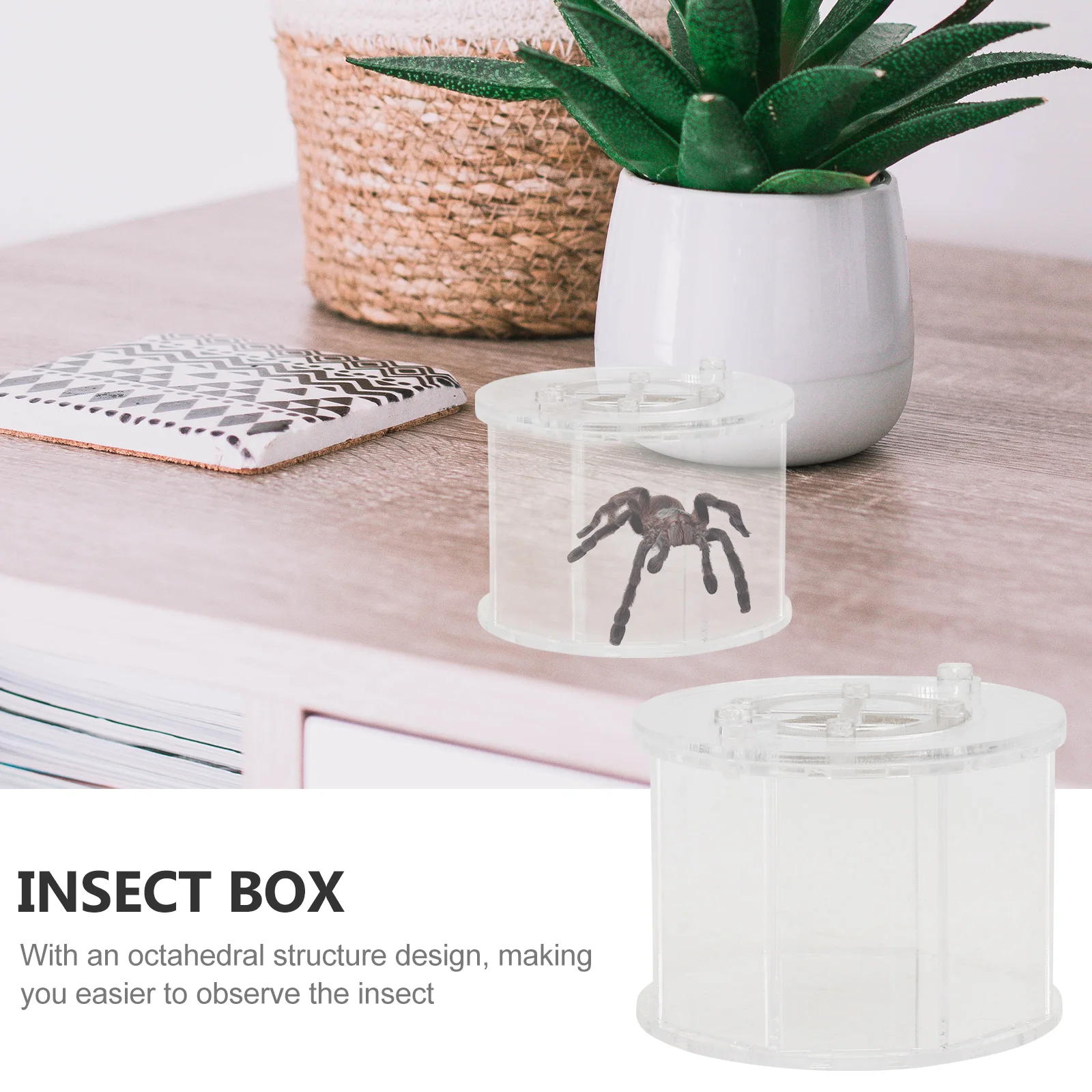 

Insect Observation Box Acrylic Reptile Breeding Container Ventilation Holes Compact Size Safety Switch Insect Box Terrarium Cage