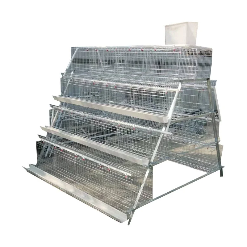 

Quality Special Cage for Breeding Design: Poultry Farm Equipments to Be Used in Chicken House