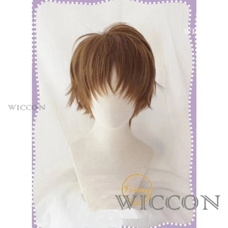

aaa12 3Anime Cardcaptor Sakura Li Li Syaoran Cosplay Wig Shoes For Women/Men Halloween Party Costume