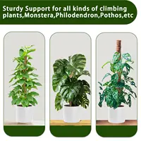 Moss Pole 38/43/53CM Monstera Plant Support Stackable Moss Poles for Plants Coir Totem Pole Tall Moss Pole for Climbing Plants 5