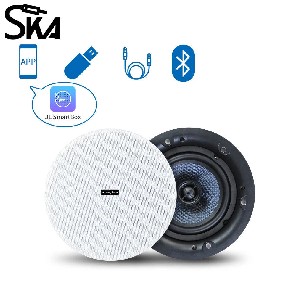 5.25 Inch 4X30W Home audience ceiling speaker system Bluetooth Speakers Built-in Class D Amplifier for Home Hotel Theater Office