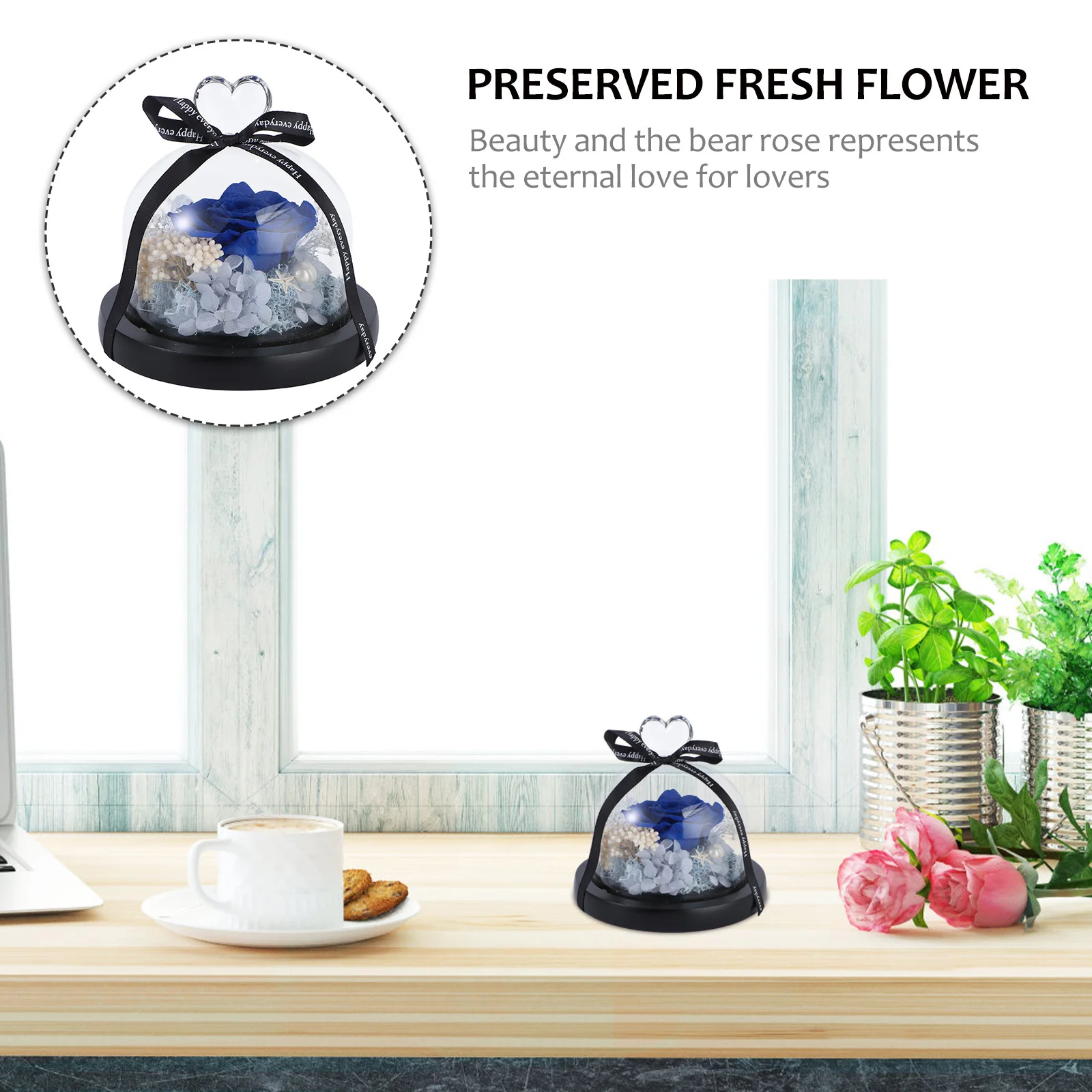 

Preserved Roses Gift Set Blue Never Withered Fresh Flower for Anniversary Valentine Wedding Birthday Home Office