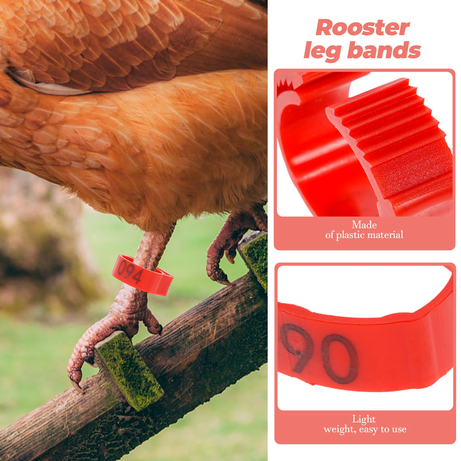 

200Pcs Chicken Leg Bands Numbered Poultry Anklets for Easy Identification of Flock Safe Lightweight Plastic Rooster Duck Leg