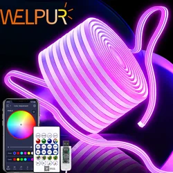USB Powered Gaming Backlight Lights Strip RGBIC LED Neon Lights 5v Flexible Ribbon Tape Neon Lights With Bluetooth Music Sync