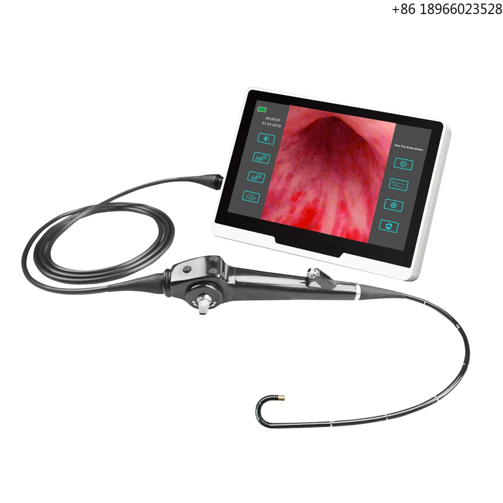 LTEF24A Video Cystonephroscope Hospital Medical Endoscope Ent Medical Flexible Video Cystoscope