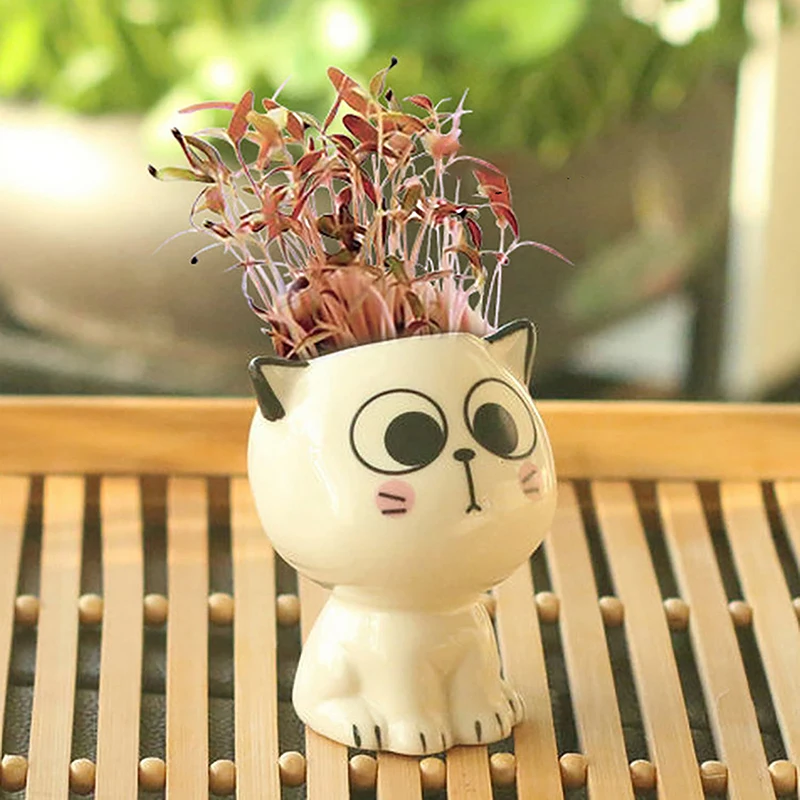 1pc Ceramic Flowerpot Mini Cat Cartoon Cute Plant Desktop Potted Plant Pot Science Education Gifts Including Seed Planting Soil