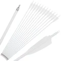 12-Spine500 White