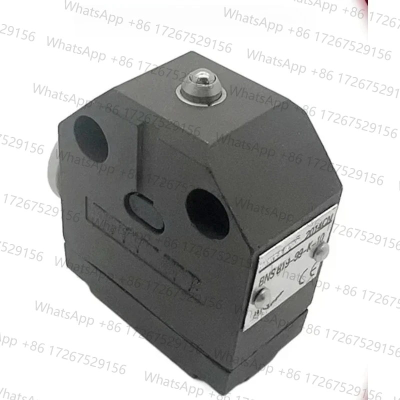 Combination Stroke Switch BNS819-100-K-15 BNS819-99-R-10 819-99-D-11 -S80