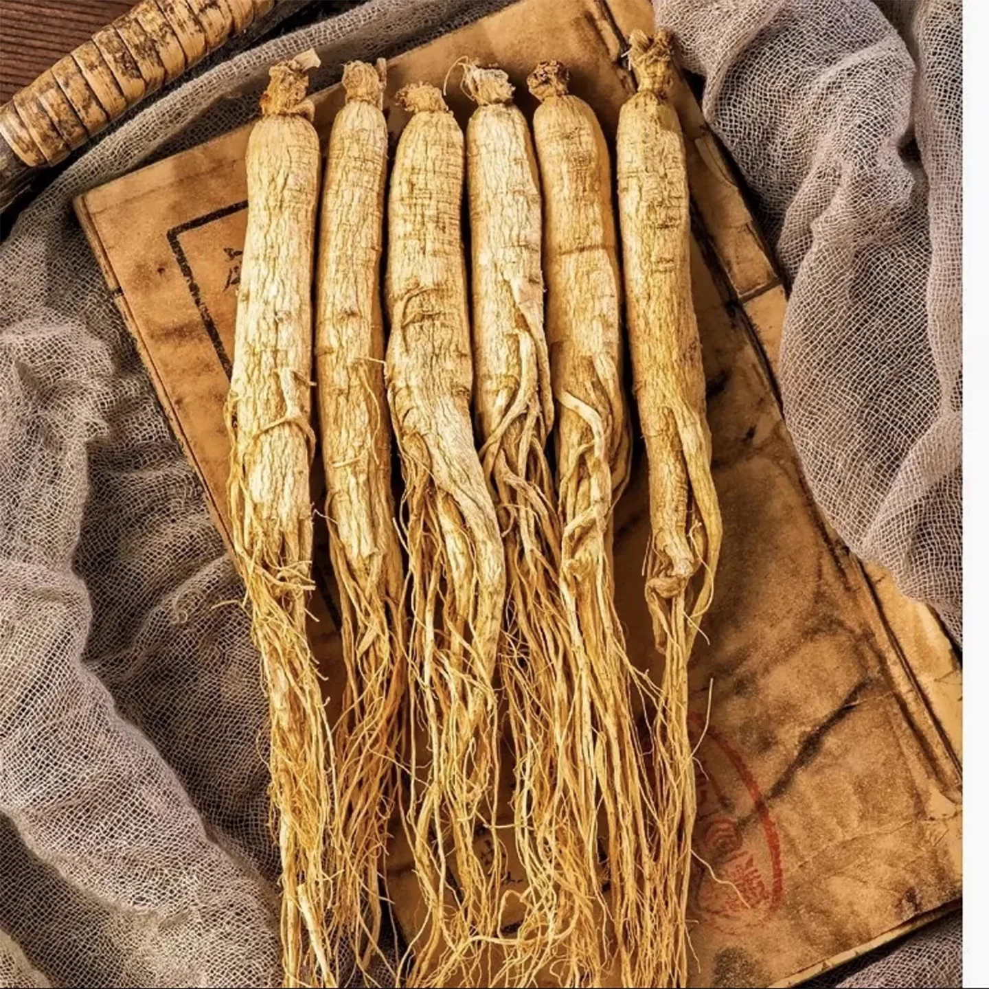 

China Natural Dried Ginseng Changbai Mountain Special Grade Wild The Whole One Ginseng DIY Resin Raw Material Photography Props
