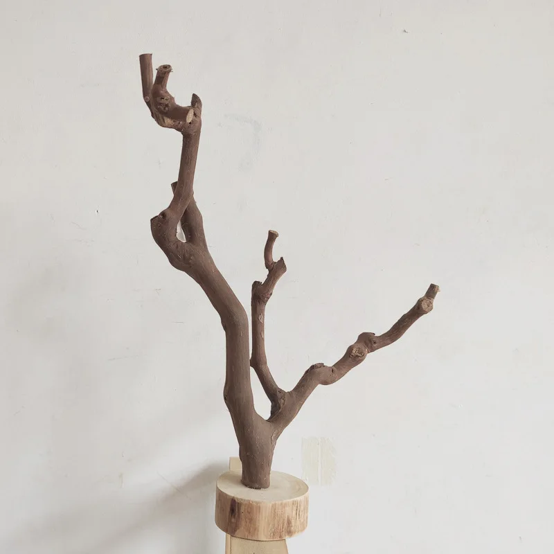 Natural Wood Tree Branch Earrings Neckalce Jewelry Display Stand Rack Holder for Home Shop Deco