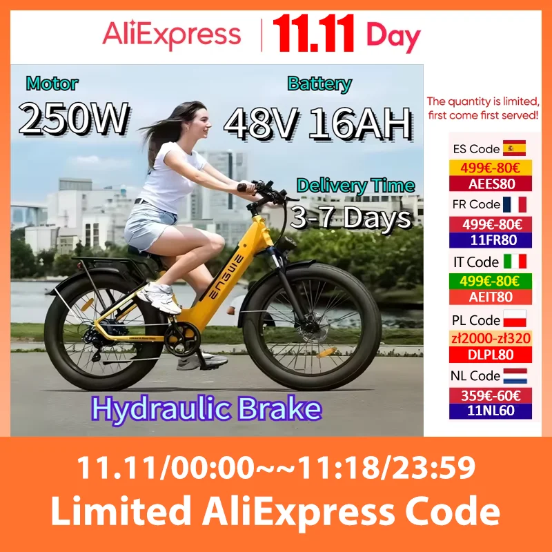 E Bike 250W Motor 48V 16AH Lithium Battery 26*4.0 Inch Fat Tire Electric Bike Max Range 140km Speed 25km/h Snow Electric Bicycle