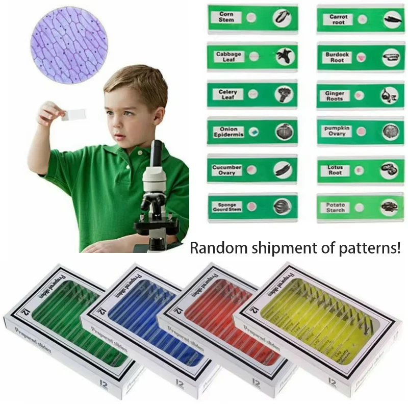 48 pezzi/set vetrini per microscopio preparati in plastica di animali insetti piante fiori campioni per microscopi Stereo