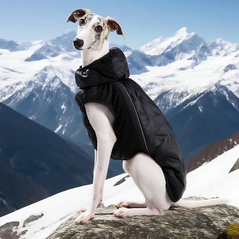 Winter Dog Warm Down Jacket - Windproof, Zipper Design & Leash-Compatible, Outdoor Pet Apparel