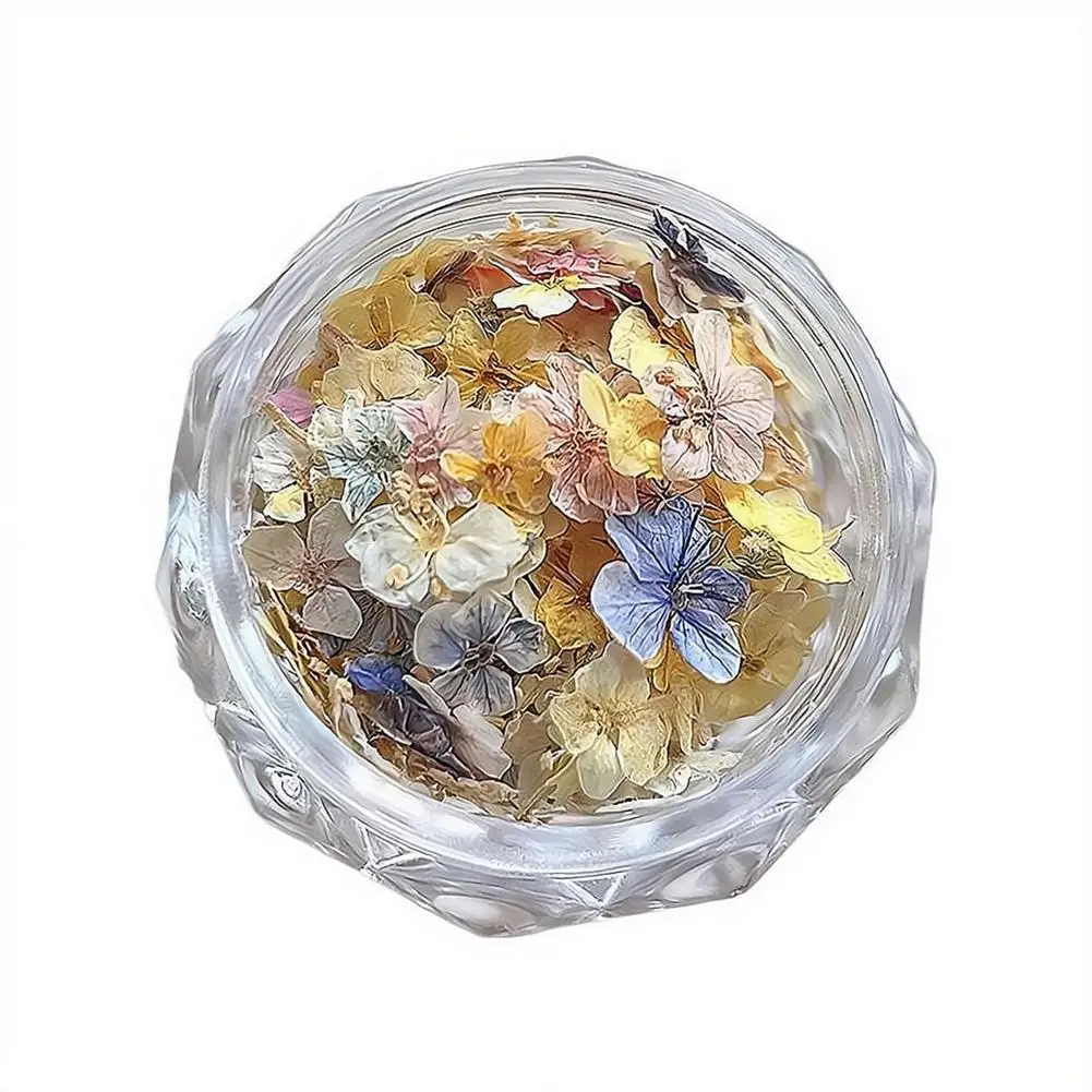 Getrocknete Blumenmaterialien für Nägel, romantische Monet-Garten-Farbpalette, lebendige Accessoires, Wildblumen-Nagelkunst-Dekorationen, Werkzeuge – Detail 1