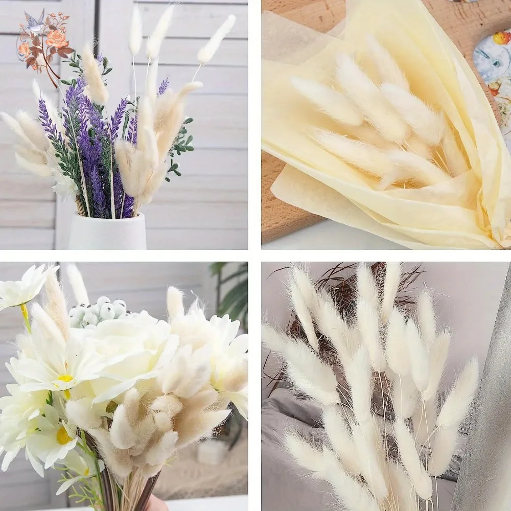 60Pcs Fluffy Bunny Rabbit Tails Grass Bouquet Boho Home Vase Decor Natural Pampas Dried Flower Lagurus Ovatus Wedding Decoration