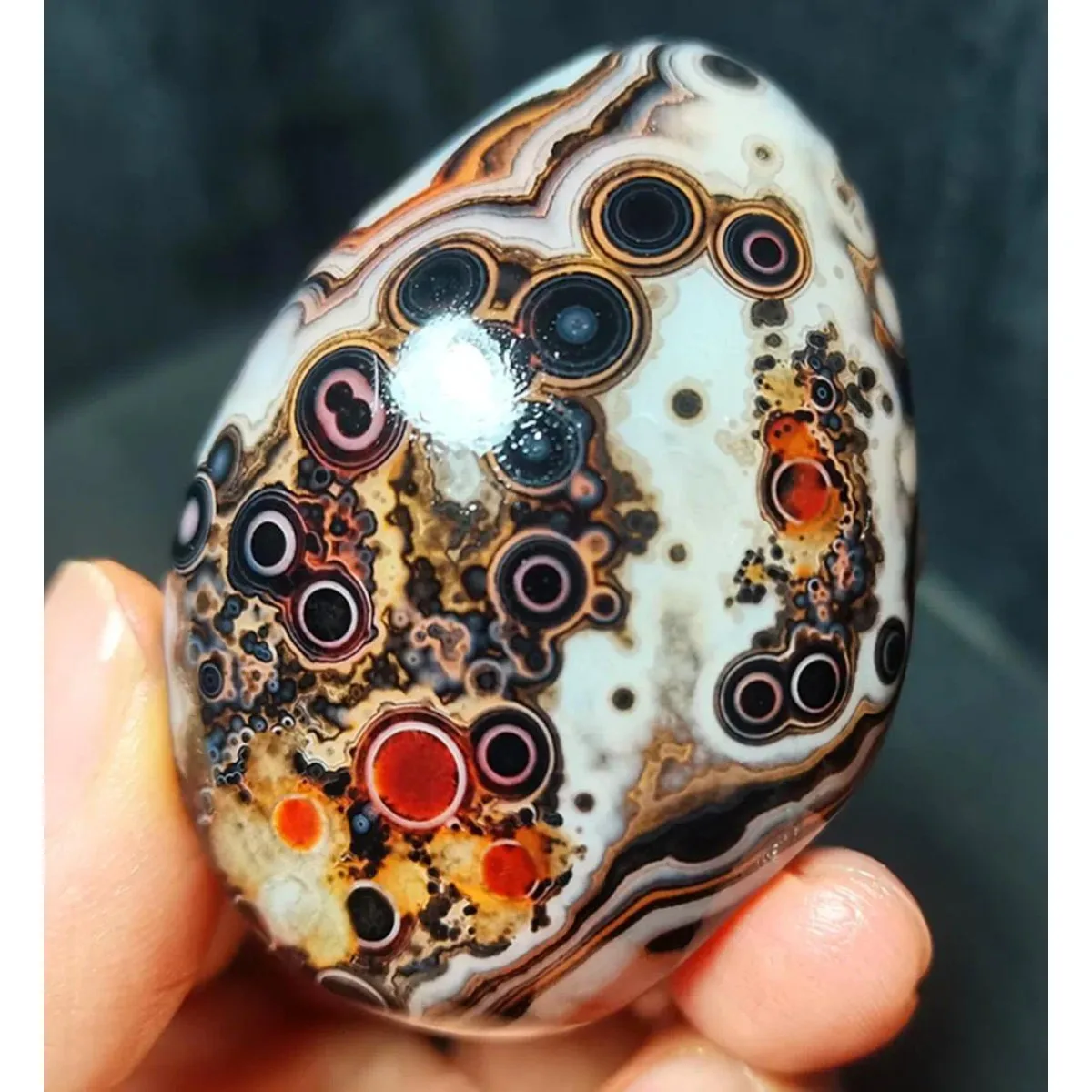 4PC Desert Treasure Banded Agate Palm Stone, Polished Tumbled, Nature Made, Vase Filler, Natural Stone, Crystal Collection
