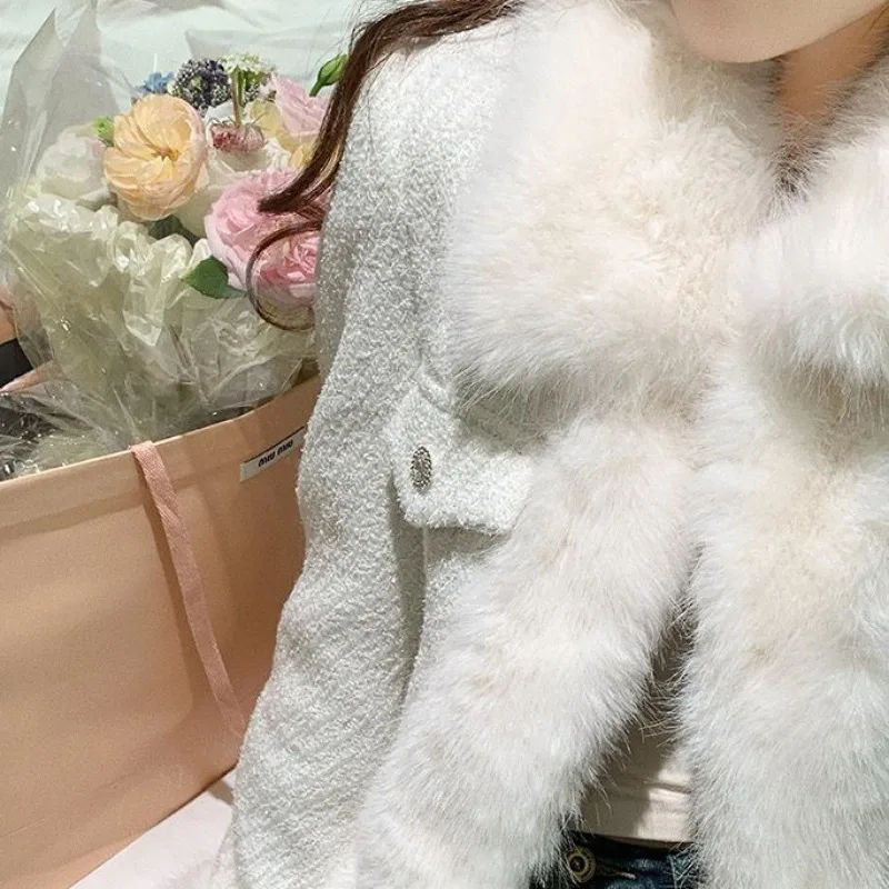 2023 Autumn Winter New Imitation Fox Fur Coat Thickened Warm Women Short Outwear Temperament Polo Collar Outcoat Casual Top