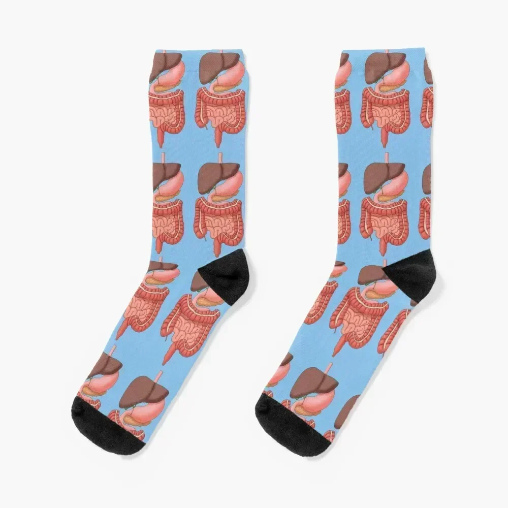 

Digestive System Organs, Medical Illustration Socks sports stockings winter colored Male Socks Women's