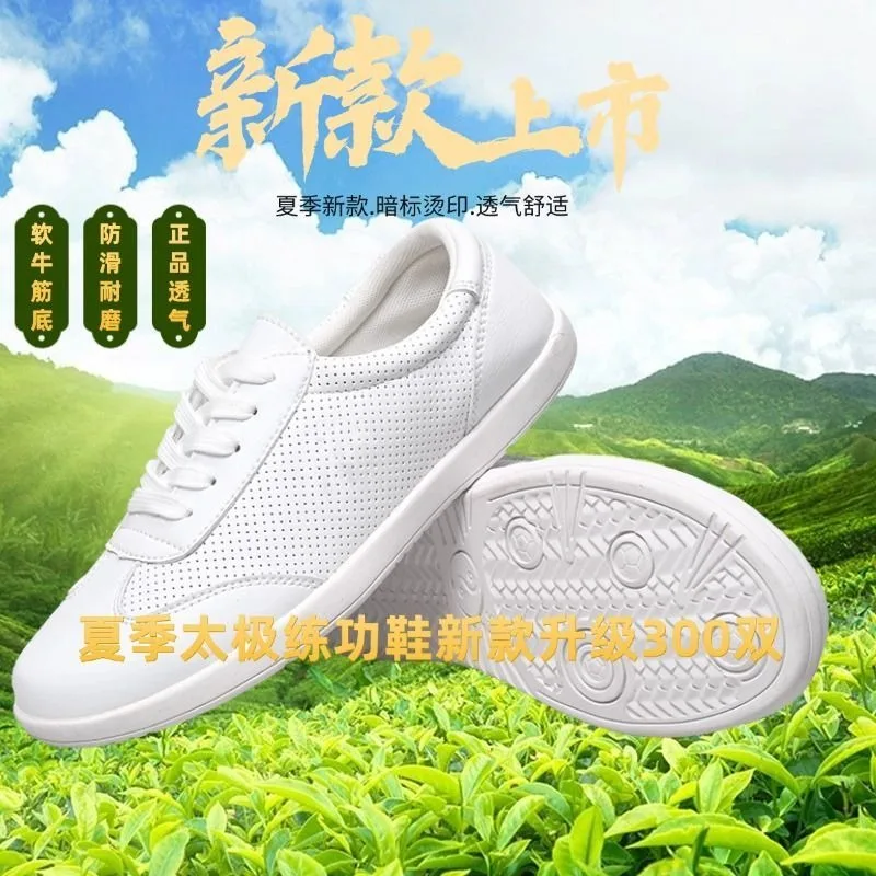 

2025 New Luxury Unisex Professional Wushu Performance Tai Chi Shoe Sport School Competition Sanda Sneaker Taekwondo Shoe 35-46