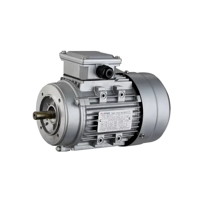 Ms Series Aluminium Housing 3000rpm 380V 4kw Asynchronous Electric 3 Phase Induction Motors
