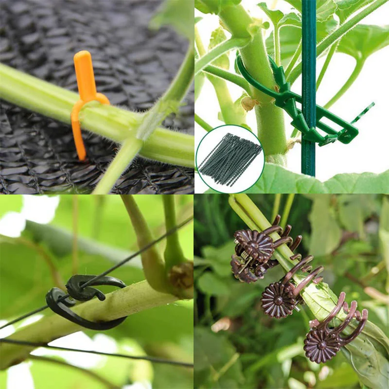 Plastic Plant Flower Support Clips Orchid Stem holder Fixing Vine Support Vegetables Tied Bundle Branch Clamping Garden Tools s