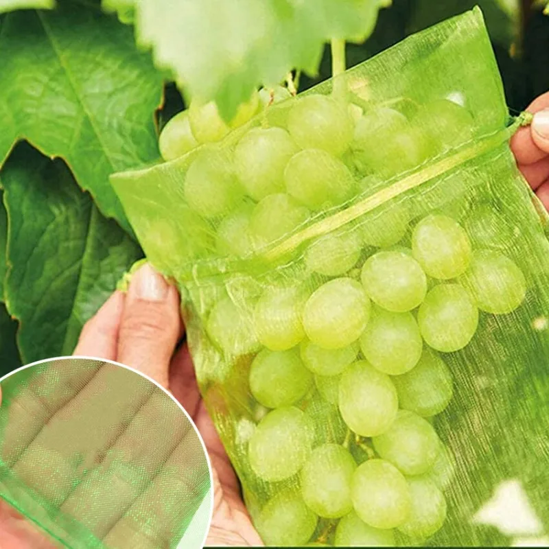10/120x Organza Fruits Protection Bags Garden Plant Netting Bag Against Birds Grape Mesh Pouch Packaging Jewelry Decor Pouches