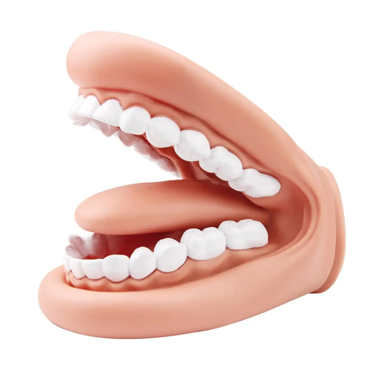 Dental Teeth Care Model Mouth Puppet with Tongue Soft Silicone Teeth Demonstration Model Brushing Oral Model Dental Education
