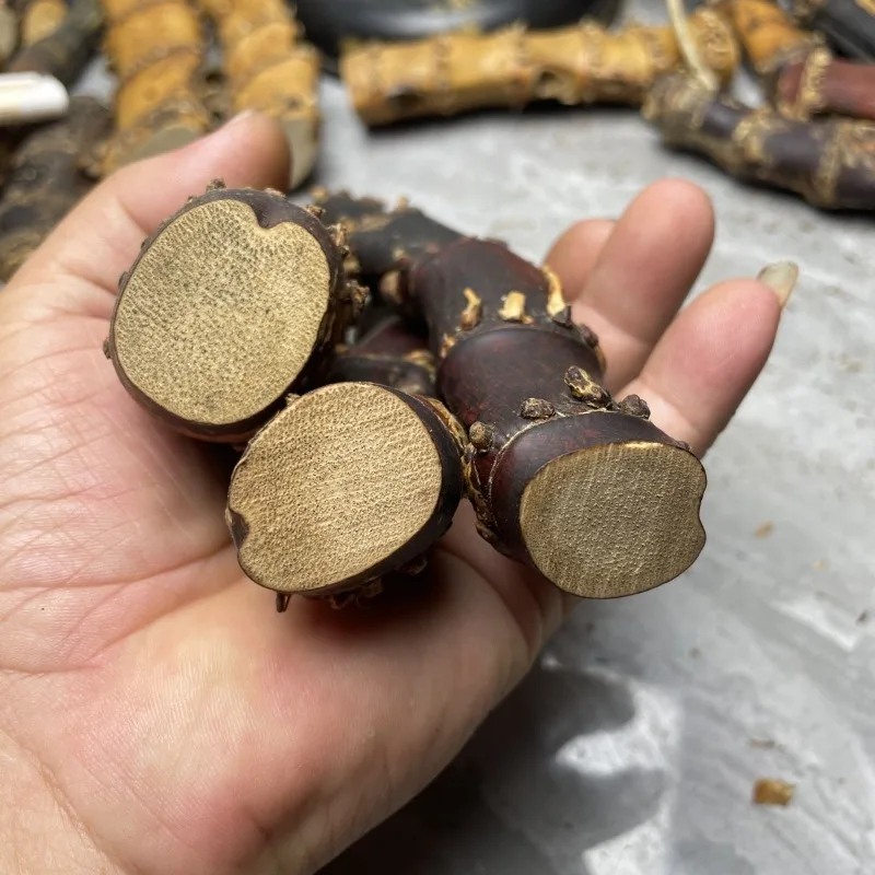Three Natural Red Bamboo Root Hand Pieces Random Delivery Wenwan Palm Plaything Whip Handle 12cm 25 Collectible Gift for Adult