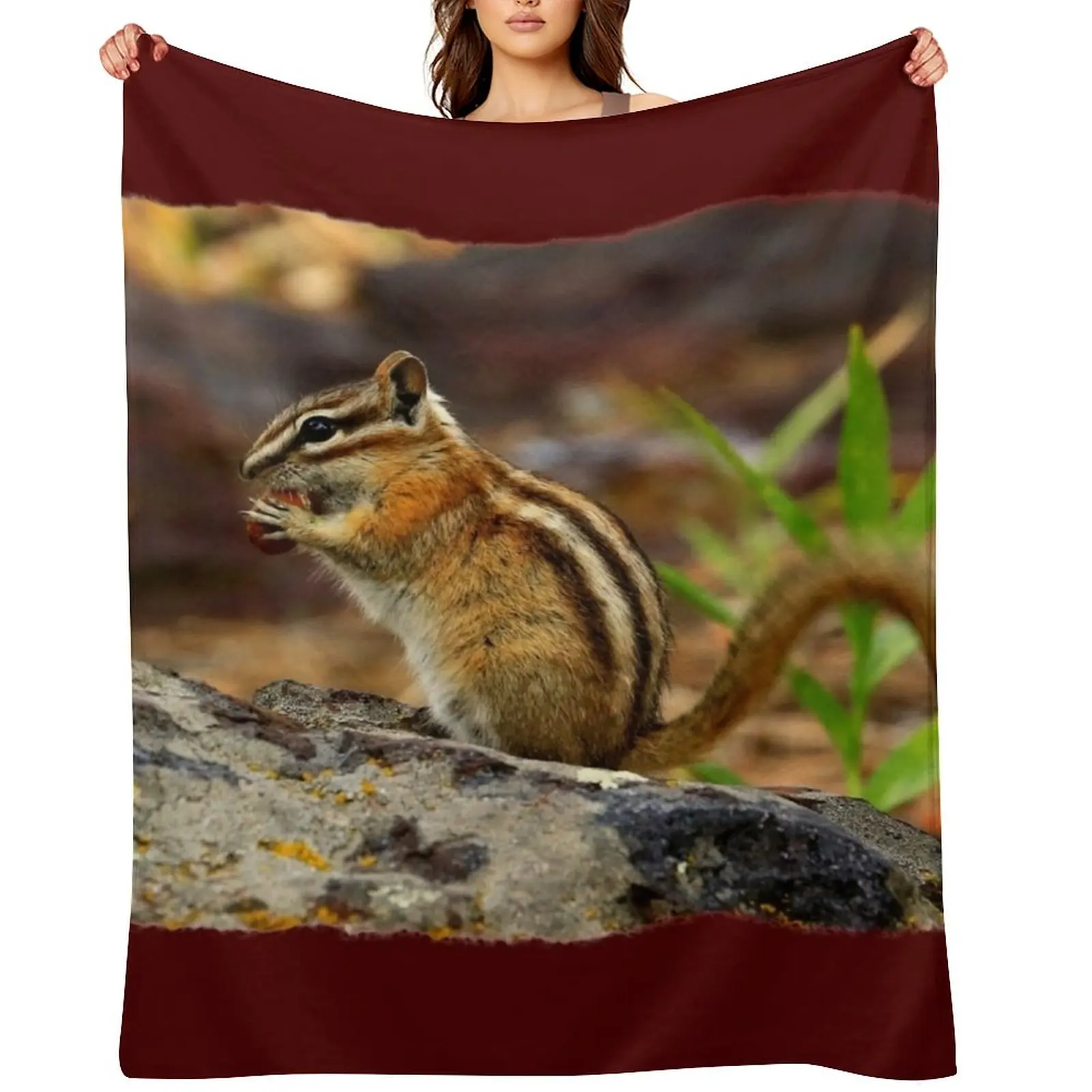 

CHIMPMUNK PORTRAIT Throw Blanket Beach Baby Luxury Thicken Sofas Blankets