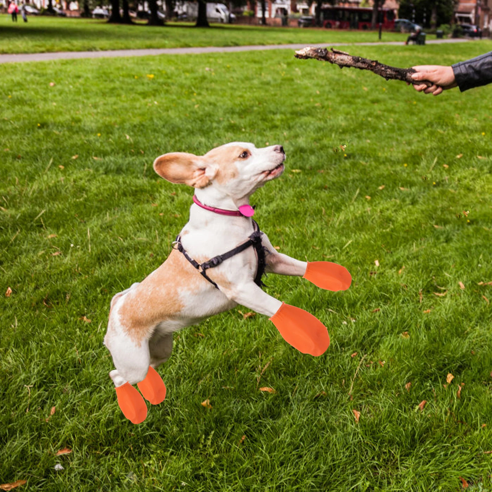 

4pcs Waterproof Dog Shoes Non-Slip Durable Boots For Outdoor Walking Running Protection Snow Sand Pet Footwear Dogs Orange Size