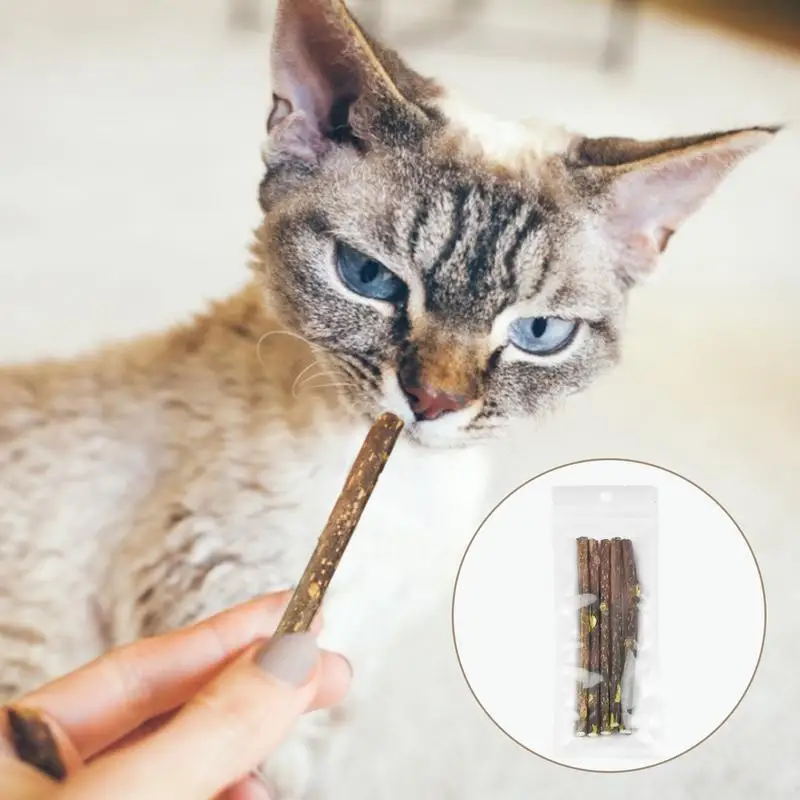 10g Natural Catnip Pet Cat Toy Molar Toothpaste Branch Cleaning Teeth Silvervine Matatabi Cat Snacks Sticks 11x0.5x0.5cm