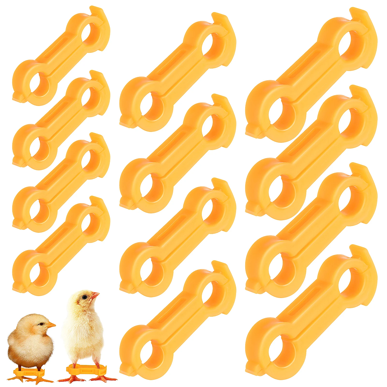 

12pcs 4/5/6mm Bird Leg Braces Poultry Leg Bands Bird's Straight Foot Corrector For Chickens Bird Corrector Corrective Supplies
