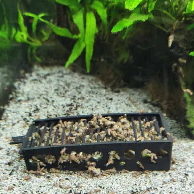 Aquarium Snail Trap Plastic Catcher for Fish Tank Effective Pest Removal Tool for Aquatic Use