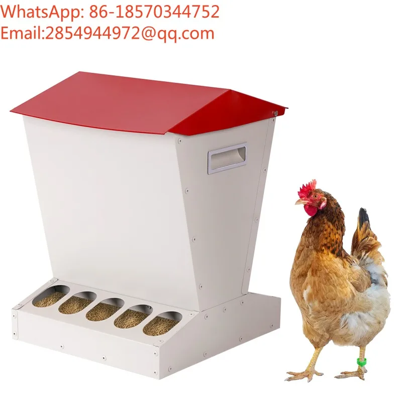 New Chicken Feeding Trough Automatic Feeding Chicken Trough Feed Vertical Feeding Trough