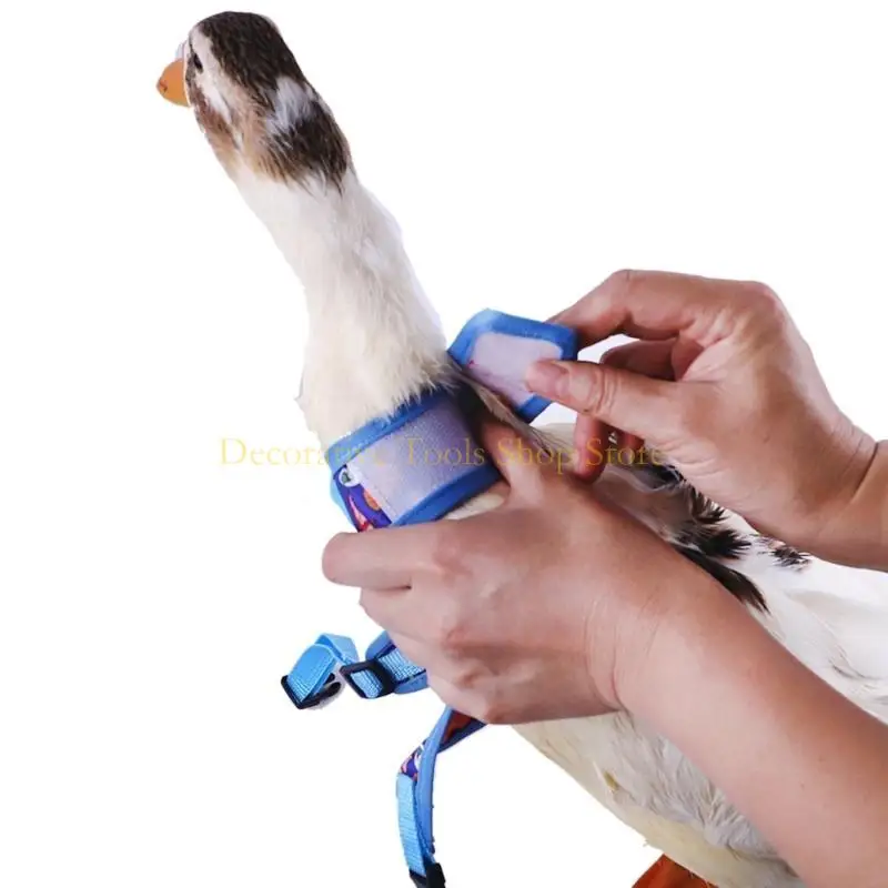 QX2E Duck Harness Leash لسترة سلامة الحيوانات الأليفة للمشي مستلزمات تحكم سهلة #2