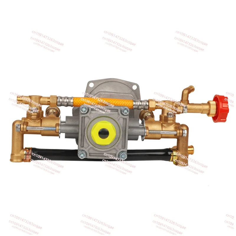 High Pressure Motor Sprayer Main Pump Pump Head 220V Single-Phase Garden Sprayer Double Cylinder Plunger Pump